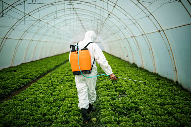 Best Pest Control Near Me  in Brainerd, MN