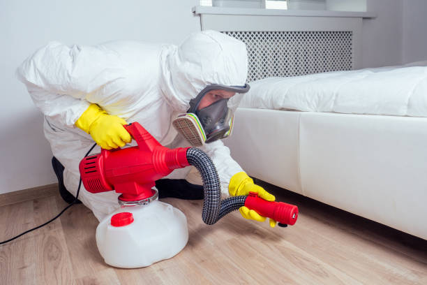 Professional Pest Control in Brainerd, MN