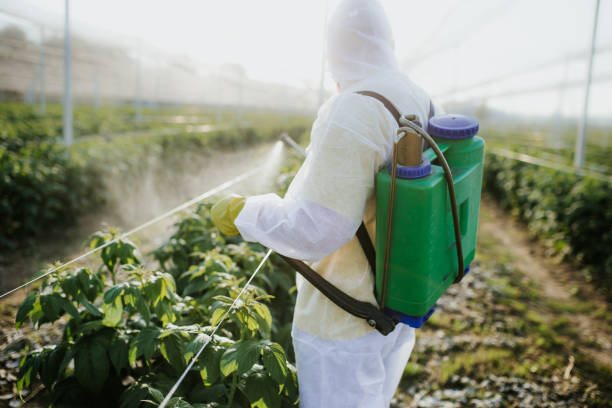 Pest Control for Restaurants in Brainerd, MN